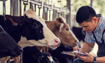 Canstar announces Bank of the Year – Agribusiness 2018