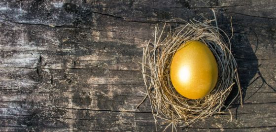 KiwiSaver golden egg